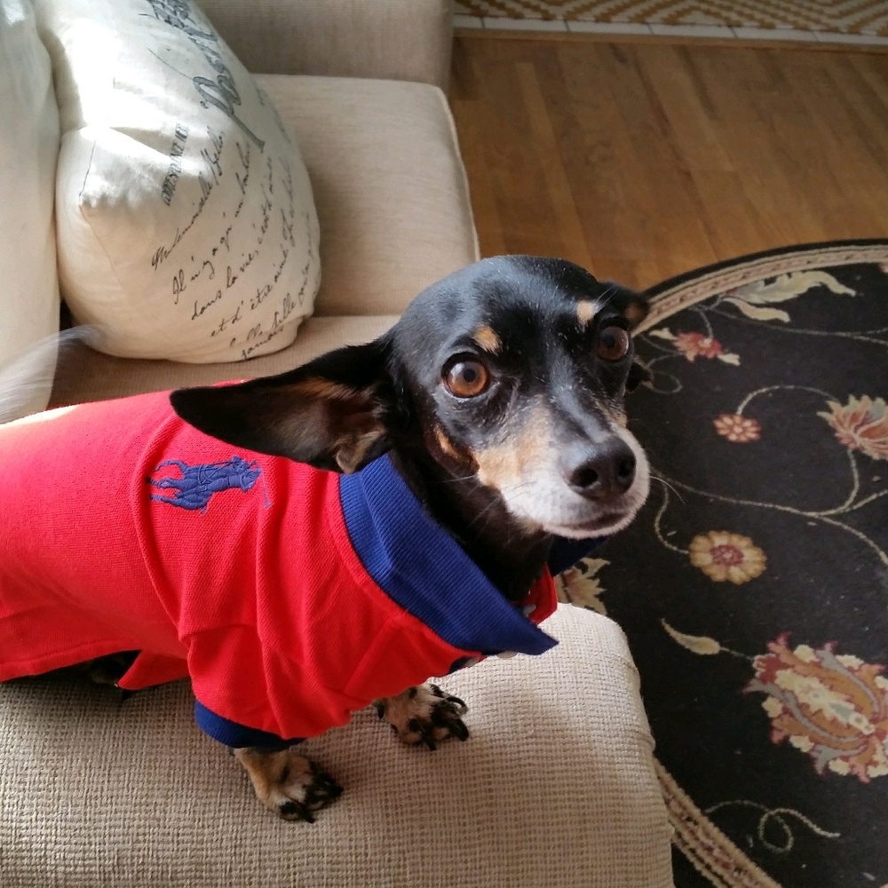 Meet your Posher, Vee